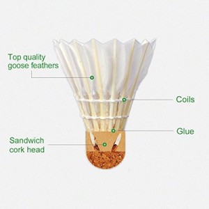 What is the difference between a kite and a badminton shuttlecock