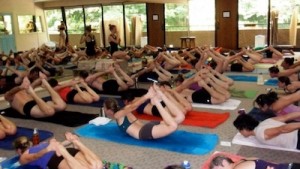 yoga-an-ever-evolving-fitness-activity-bikram