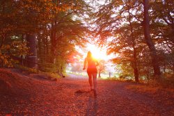autumn running autumn running