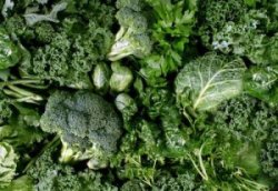 diet of a professional rugby player veg diet of a professional rugby player veg