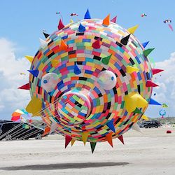 Guinness World Records for Kite Flying Size Guinness World Records for Kite Flying Size
